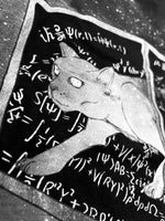 Load image into Gallery viewer, Schrödinger&#39;s cat
